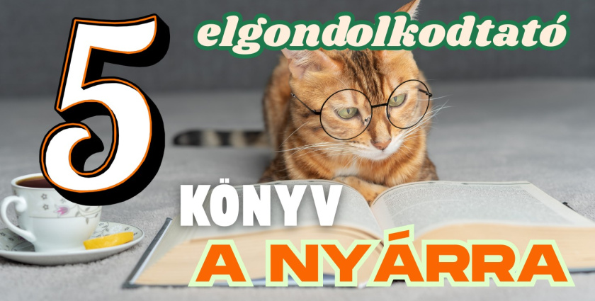 Öt elgondolkodtató könyv a nyárra