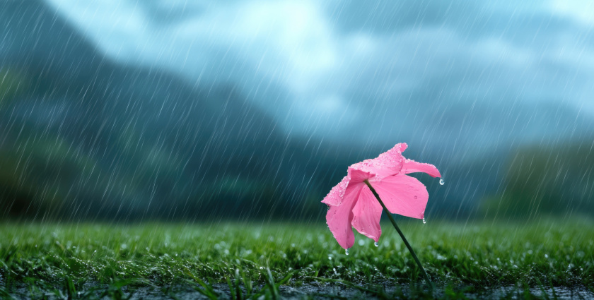 Változékony idő várható hétvégén, megerősödő széllel, néhol csapadékkal