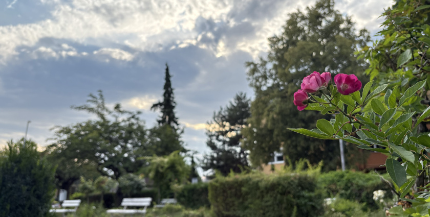 Változékonyabbra fordul az idő