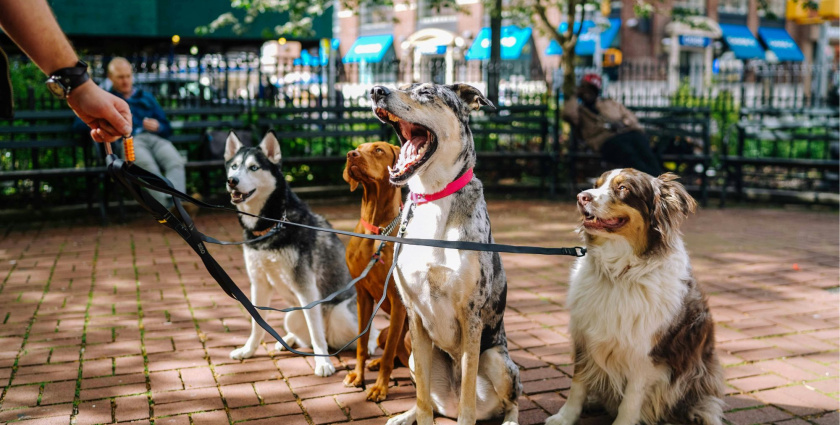 Lakóközösségek jelentkezését várja az önkormányzat