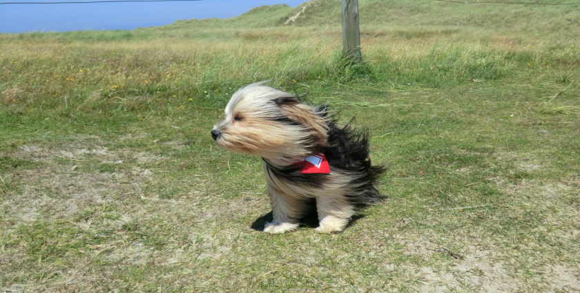 Erős szél, néhol eső és lehűlés jellemzi a hétvége időjárását