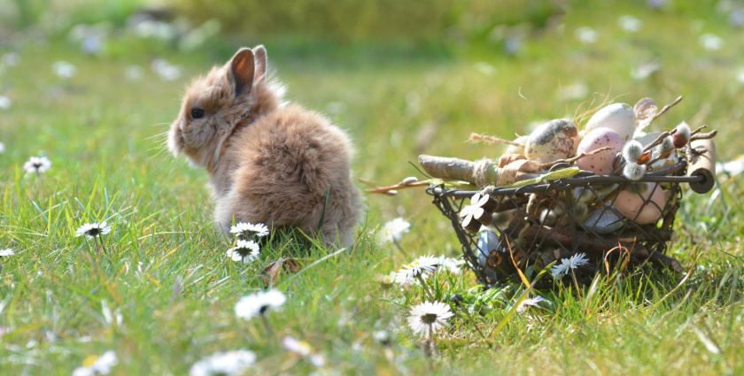 Ilyen időre számíthatunk a húsvéti ünnepek alatt