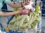 Nem egész öt nap alatt összegyűlt a pénzösszeg Dávidka szívműtétjére