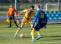 Előkészületi mérkőzésen: NK Celje - DAC 1904 0:2 (0:1)