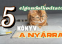 Öt elgondolkodtató könyv a nyárra