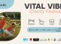 Szeptember 4-én Vital Vibes Charity Festival Dunaszerdahelyen